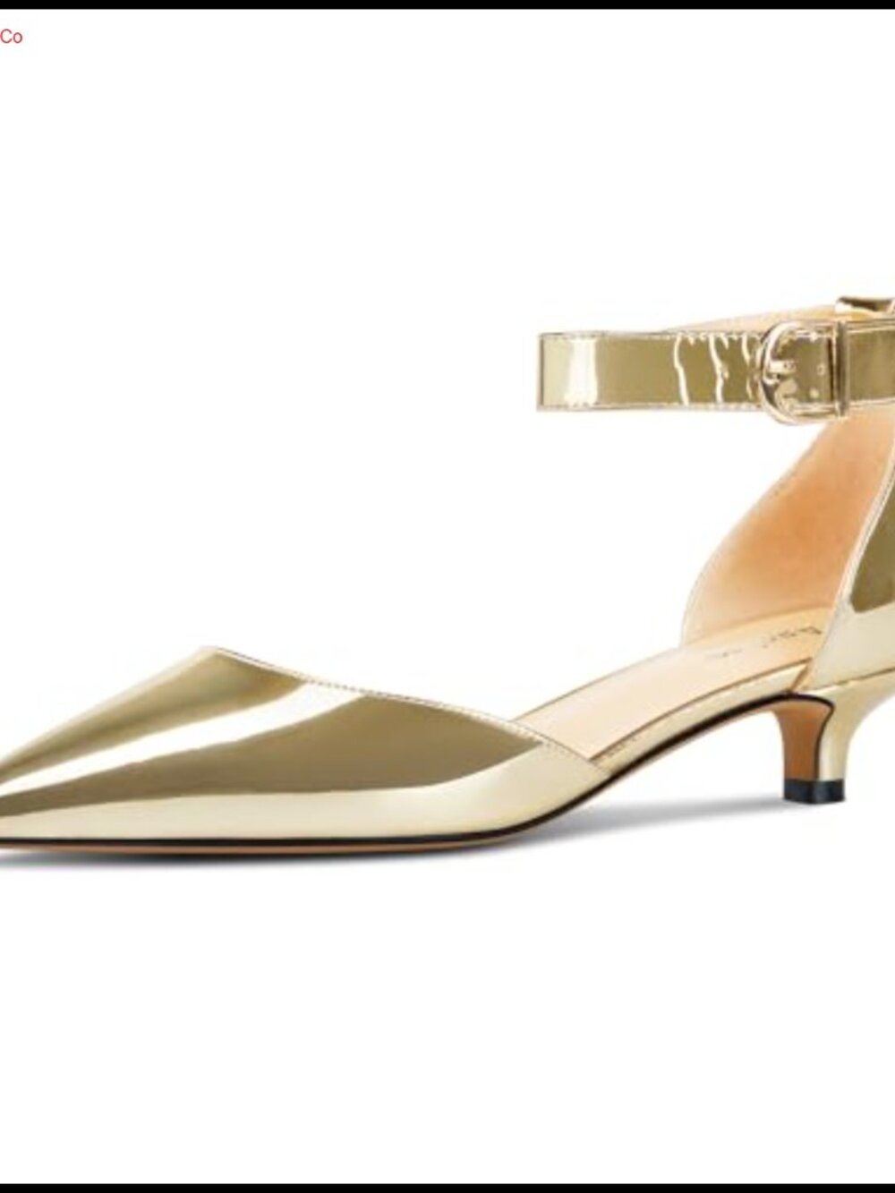 Women's Kitten Low Heel Ankle Strap Pointed Toe Pumps Dress Sandals